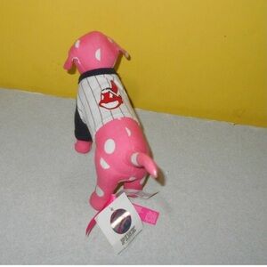 I am looking for these VS Pink MLB items! Dm me if you are willing to sell to me